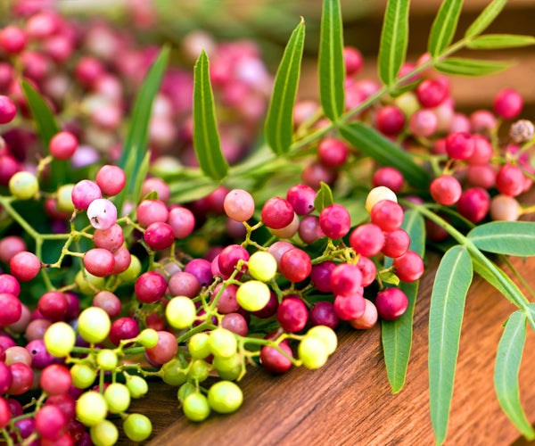 Pink Peppercorn – Agraria San Francisco