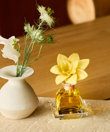 PetiteEssence Diffuser