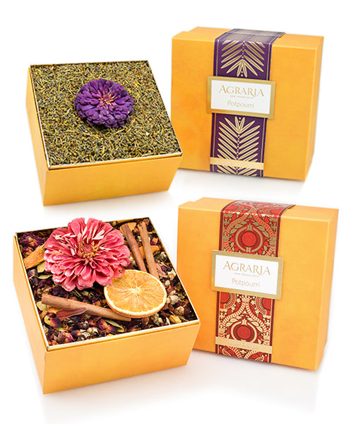 Potpourri Duo