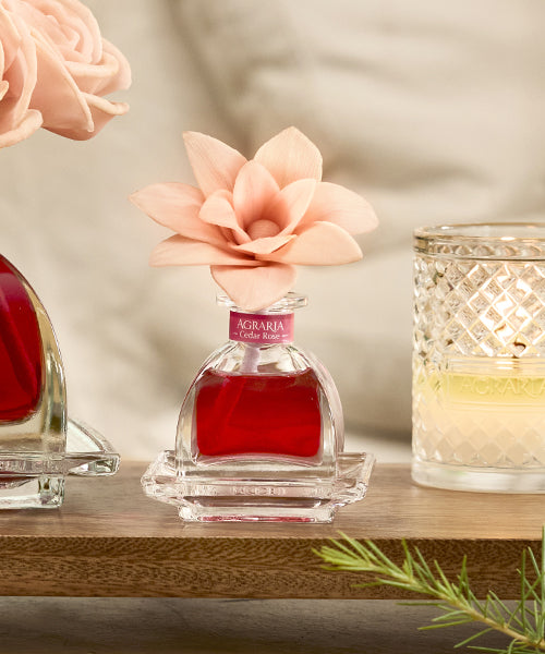 PetiteEssence Diffuser