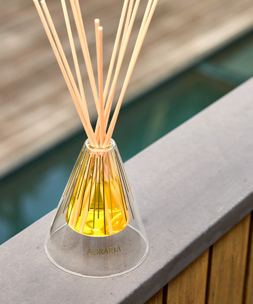 Reed Diffuser