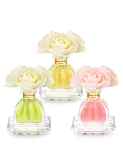 Petite Diffuser Trio