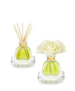 Petite Diffuser Duo