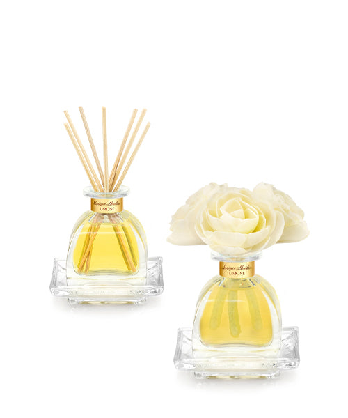 Petite Diffuser Duo