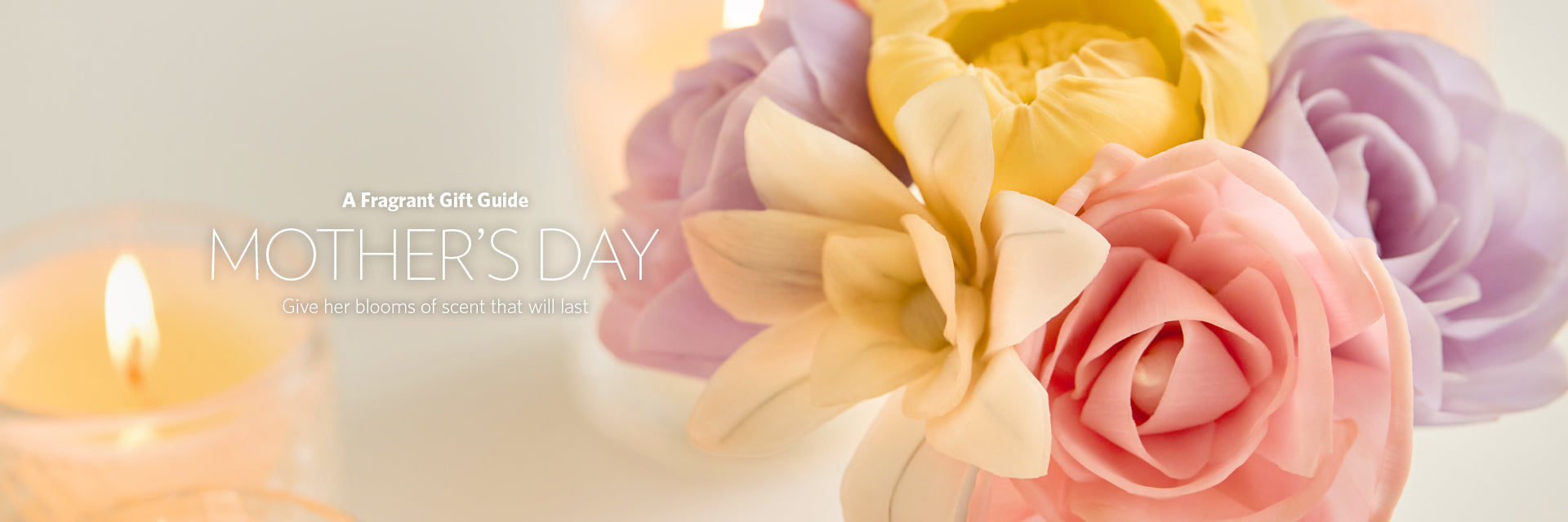 oils-banner
