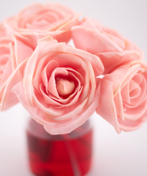 Diffuser Flowers | Agraria San Francisco