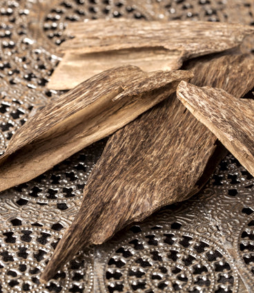 Agraria's New Fragrance: Teakwood