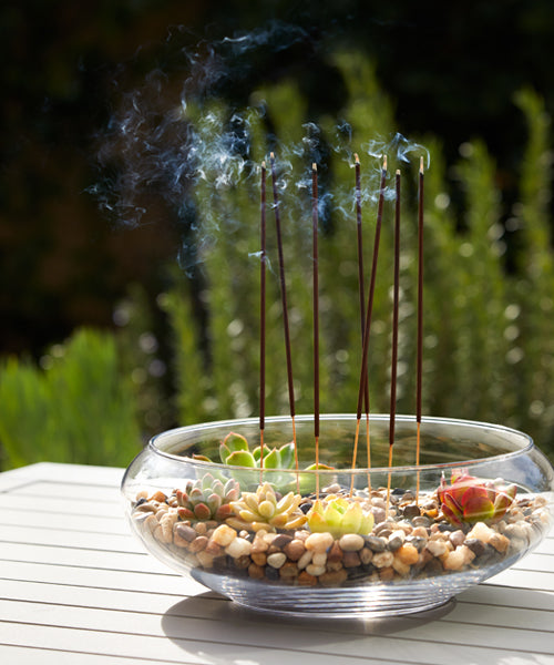 burning incense in plant pots Bitter Orange Perfumed Incense Burning Sticks